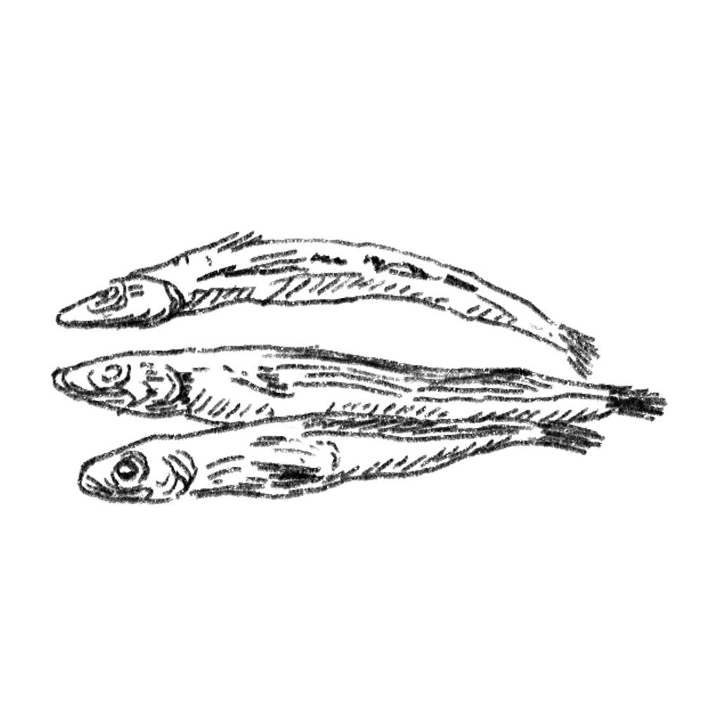 Custom-made dashi/ Boiled and Dried Lizard Fish[ Eso-niboshi ]