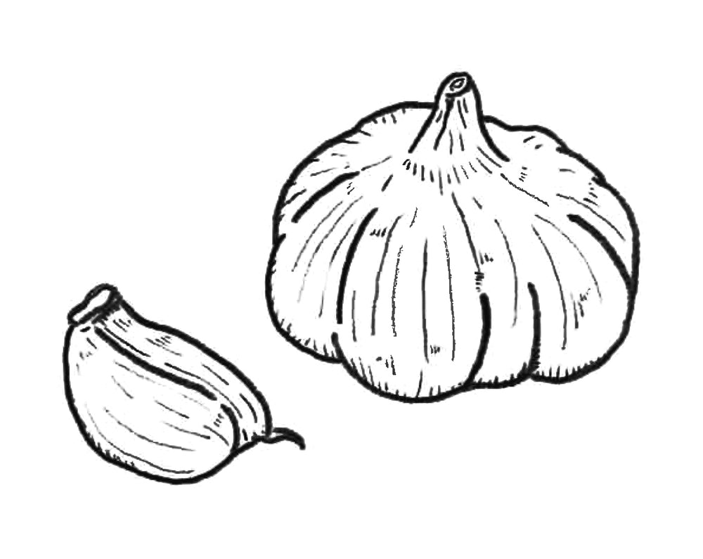 Custom-made dashi/ Garlic