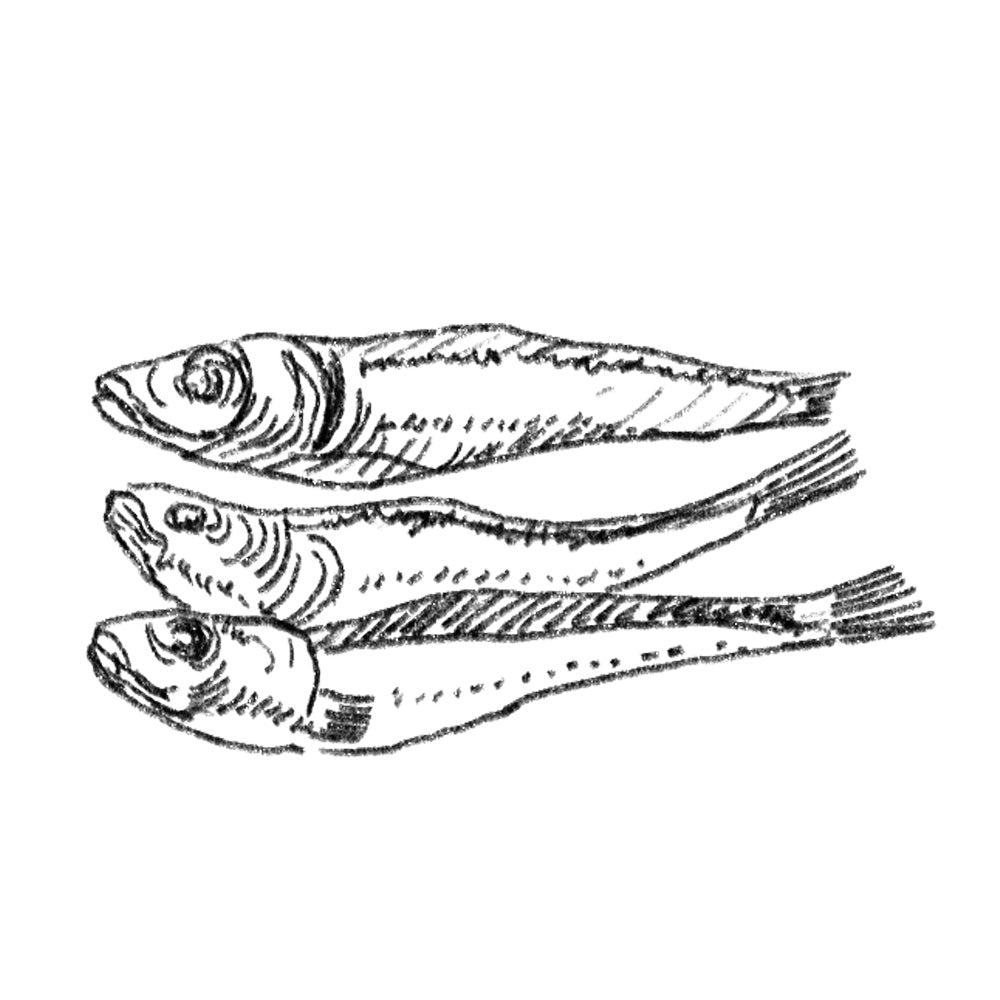 Custom-made dashi/ Boiled and Dried Japanese Sardines[ Hirako-niboshi ]
